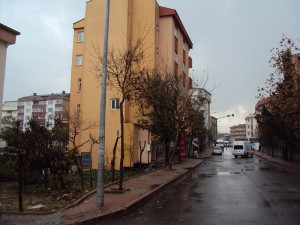 dsc03493